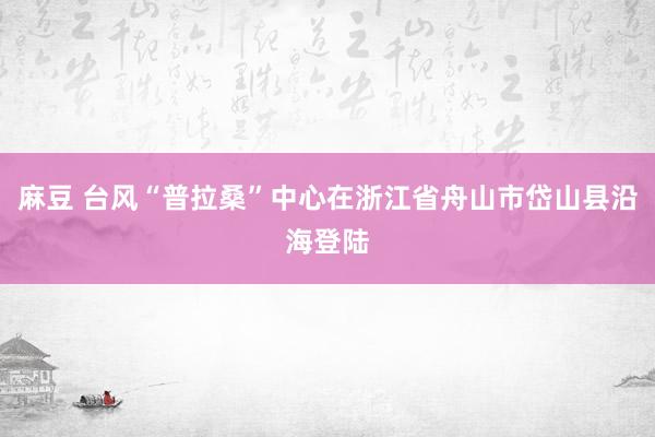 麻豆 台风“普拉桑”中心在浙江省舟山市岱山县沿海登陆