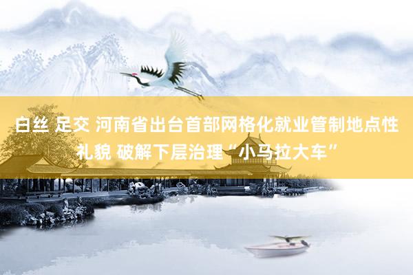 白丝 足交 河南省出台首部网格化就业管制地点性礼貌 破解下层治理“小马拉大车”