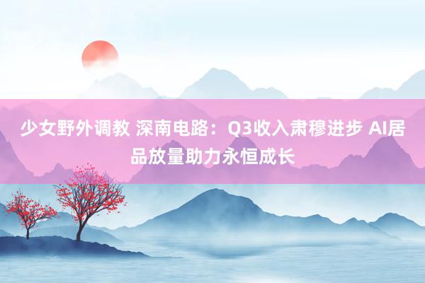 少女野外调教 深南电路：Q3收入肃穆进步 AI居品放量助力永恒成长
