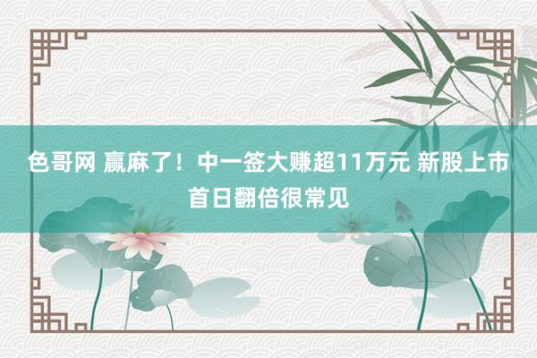 色哥网 赢麻了！中一签大赚超11万元 新股上市首日翻倍很常见