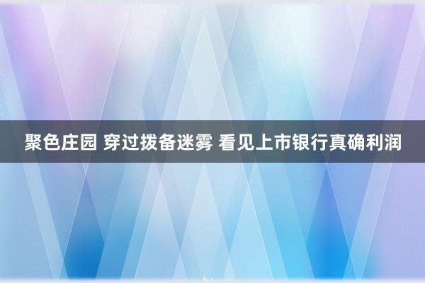 聚色庄园 穿过拨备迷雾 看见上市银行真确利润