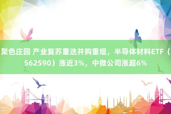 聚色庄园 产业复苏重迭并购重组，半导体材料ETF（562590）涨近3%，中微公司涨超6%