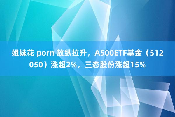 姐妹花 porn 放纵拉升，A500ETF基金（512050）涨超2%，三态股份涨超15%