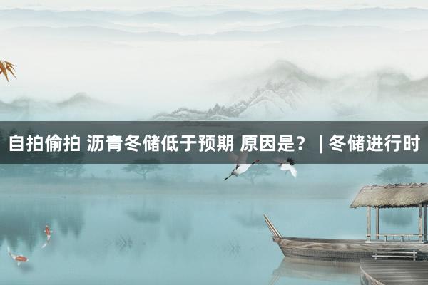 自拍偷拍 沥青冬储低于预期 原因是？ | 冬储进行时