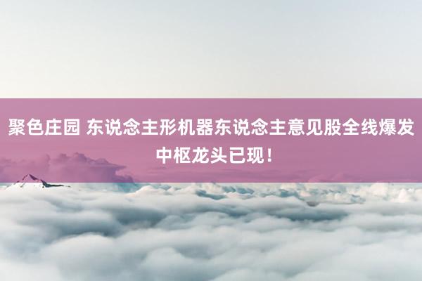 聚色庄园 东说念主形机器东说念主意见股全线爆发 中枢龙头已现！
