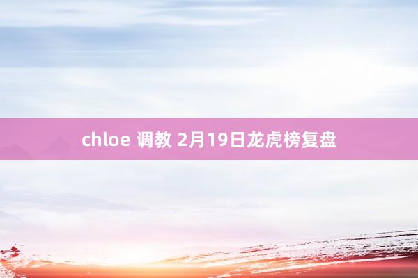 chloe 调教 2月19日龙虎榜复盘