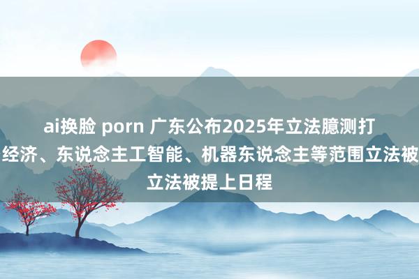 ai换脸 porn 广东公布2025年立法臆测打算！低空经济、东说念主工智能、机器东说念主等范围立法被提上日程